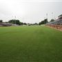 Jelsma Stadium aka The Rock