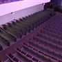 Montgomery Auditorium