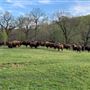 Hunt Mill Hollow Ranch