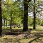 Carters Landing Campground
