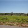 E 730 Rd Landscape