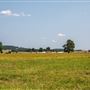 E Main St Field