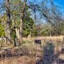 Meadow Lake Ranch