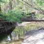 Aspen Creek Park