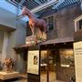 Museum of the Great Plains