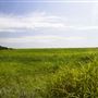 Rydell Ranch