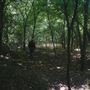 Rydell Ranch