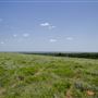 Rydell Ranch