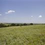 Rydell Ranch