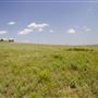 Rydell Ranch