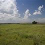 Rydell Ranch