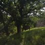 Rydell Ranch