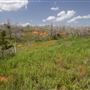 Rydell Ranch