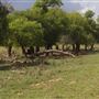 Rydell Ranch