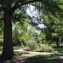 L.A. Cann Memorial Gardens & Estate