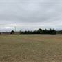 Ward Ranch