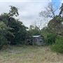 Ward Ranch