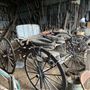 Ward Ranch
