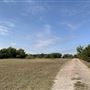 Ward Ranch