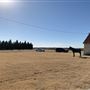 Big V Ranch