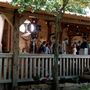 Nellis Vineyards