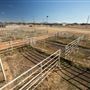 Bob Arrington Rodeo Arena