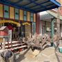 Where The Buffalo Roam Boutique