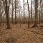Deep Fork National Wildlife Refuge
