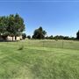 Nellis Vineyards