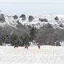 Newton Ranch
