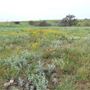 Newton Ranch