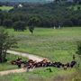 Long Ranch (Barnsdall)