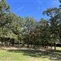 Chandler Park