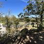Chandler Park