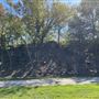 Chandler Park