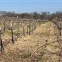 Pecan Creek Winery