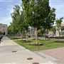 University of Tulsa