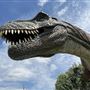 Dinosaur Photo Park