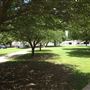 Northwestern Oklahoma State University