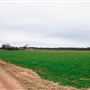 Patchell Farm
