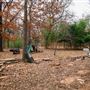 Bostic Farm