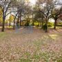Dewberry Park