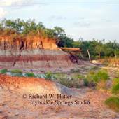 Hatter Ranch