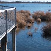 Sequoyah National Wildlife Refuge