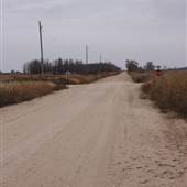 Dirt Road EW40 - Woodward