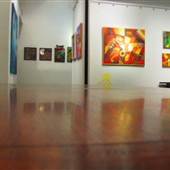 Istvan Gallery