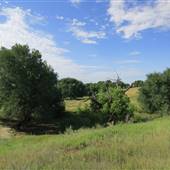 Tunder Farms