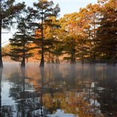 Sequoyah State Park