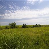 Rydell Ranch
