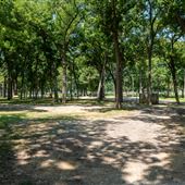 Morris Park